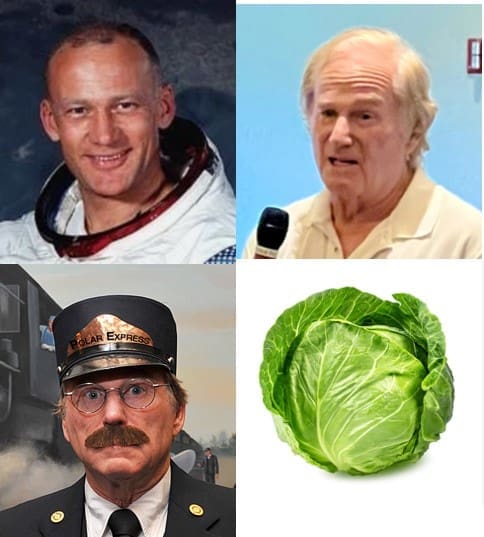 Buzz T collage